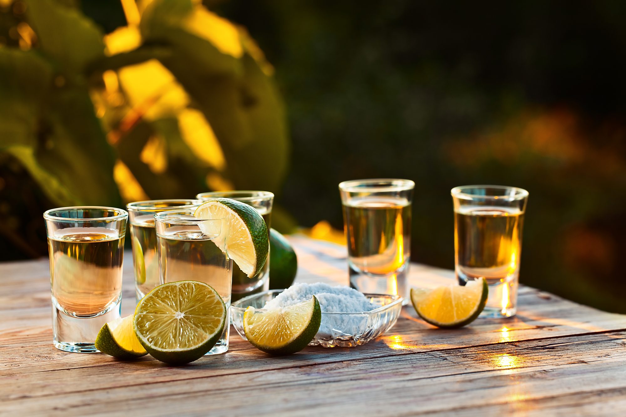 A row of tequila bottles with different colored ageing levels displayed on a wooden bar.