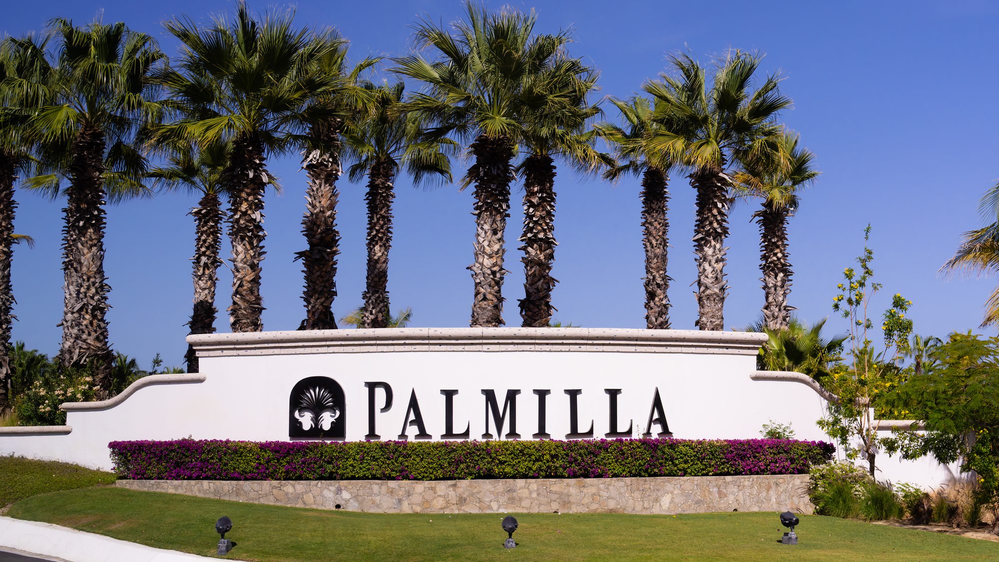 The Palmilla community entrance sign in Los Cabos, framed by tall palm trees under a clear blue sky